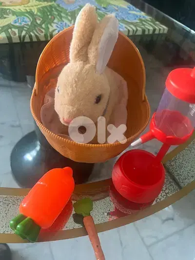Walking rabbit