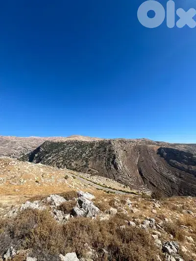 zahle hazzerta land 2000 sqm for sale #6756