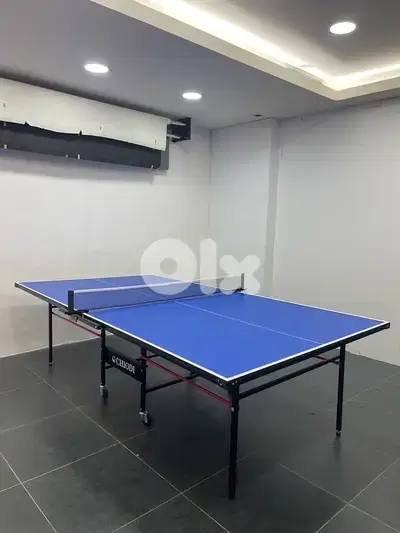 Ping Pong Indoor Chiodi +2 free rackets