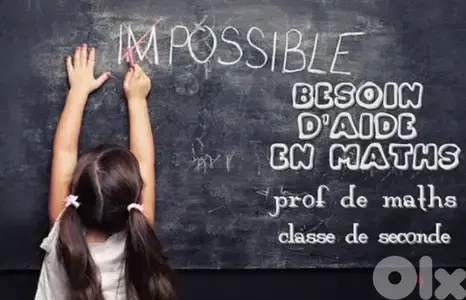 math teacher -  lessons de maths