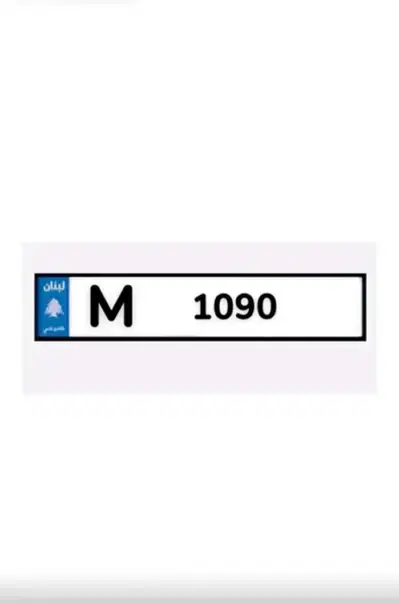 Special plate Number