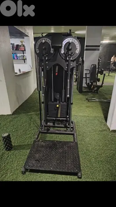 standing lateral and fly machine new