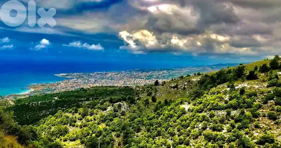 Investment Opportunity! Land for sale in Halat - Jbeil