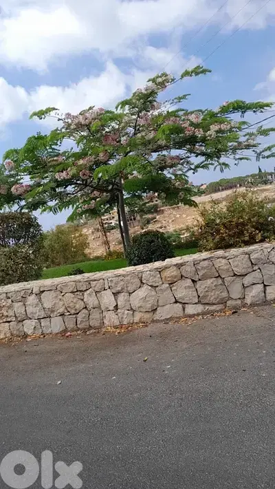 Land for sale in Rmeileh | أرض للبيع في الرميلة