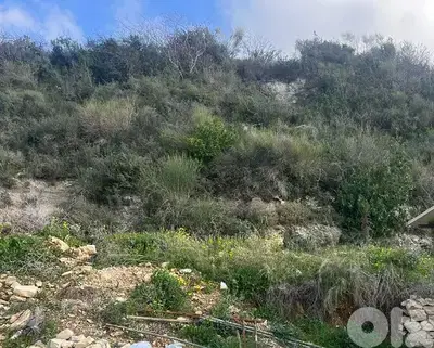 Land for sale in Smar Jbeil أرض للبيع في  سمار جبيل