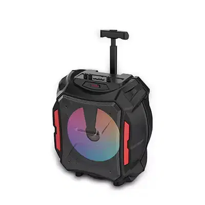 SING-E SPEAKER - 12" - INCH | ZQS12110 وايرلس سبيكر