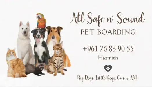 Pet Hotel