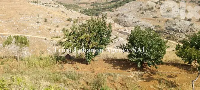 Land + House for sale in Ain Dara | Mountain view عقار للبيع مع منزل