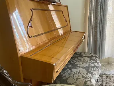 Ukrainian Piano Cypauha Brand