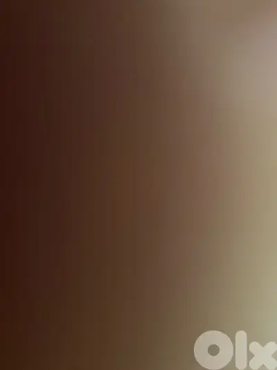03036166