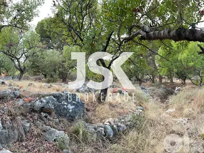 L19732 - Beautiful Land For Sale in Chikhane, Jbeil