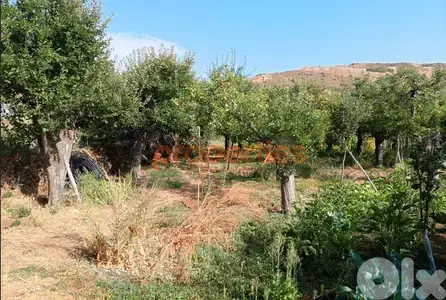 Land for Sale in Zaarour – CPSM415