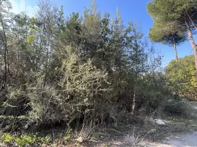 RWK554CA-  Land for Sale in Adma with a Breathtaking View