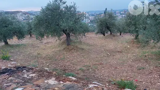 GMN104KG - Land for sale in Kfarsaroun - أرض للبيع في كفرصارون