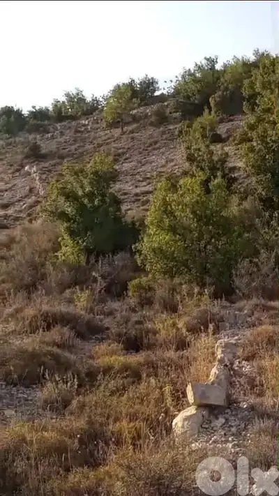 Land For Sale In Mechmech - أرض للبيع في مشمش