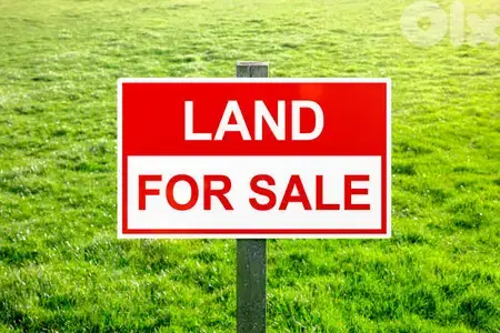 Land for sale in Tannourine Hot Deal ارض للبيع في تنورين