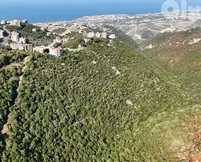Land for sale in Breij - أرض للبيع في بريج