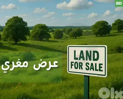 350 SQM HOT DEAL STUNNING VIEW IN NAKHLE/النخلة REF#BD121855