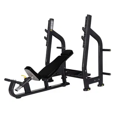 Incline bench press new