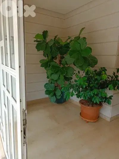 Apartment for sale in Kfarhbab | شقة للبيع في كفرحباب