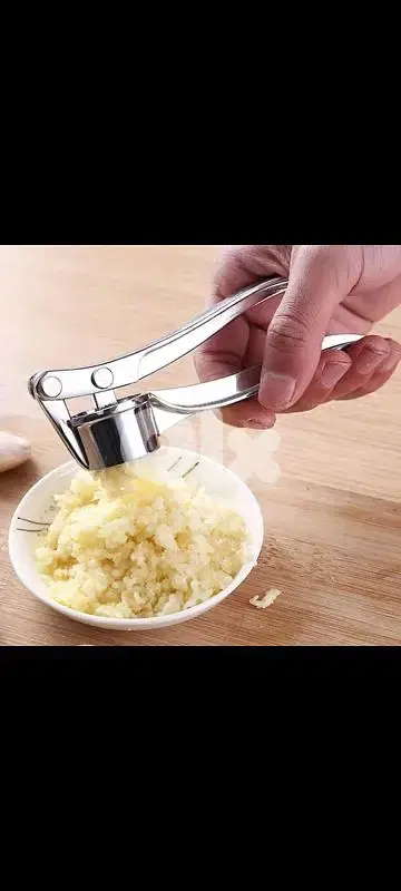stainless steel garlic press