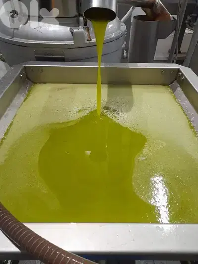 olive oil for sale