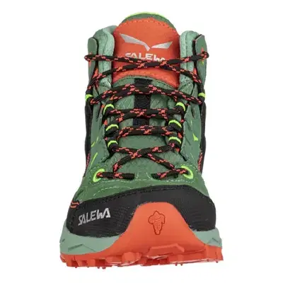 Salewa hiking running shoes