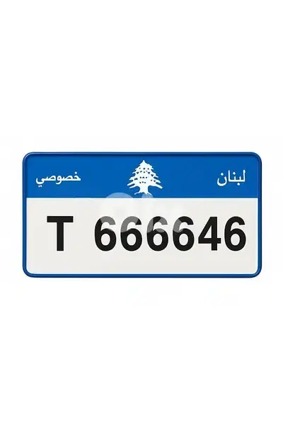 T666646 car special plate numbef