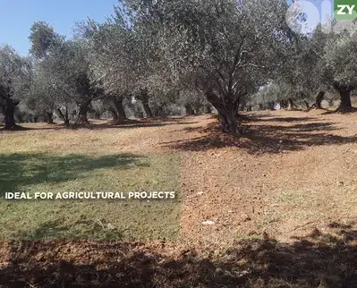 Ideal For Agricultural Projects - Zgharta- Alma REF#ZY130158