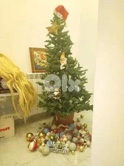 شجرة مع زينة