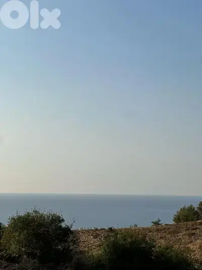 Land for sale in Basbina - أرض للبيع في بسبينة