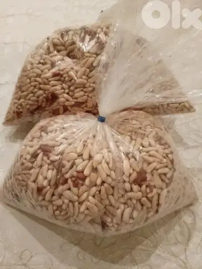 منتجات بلدية Organic food production