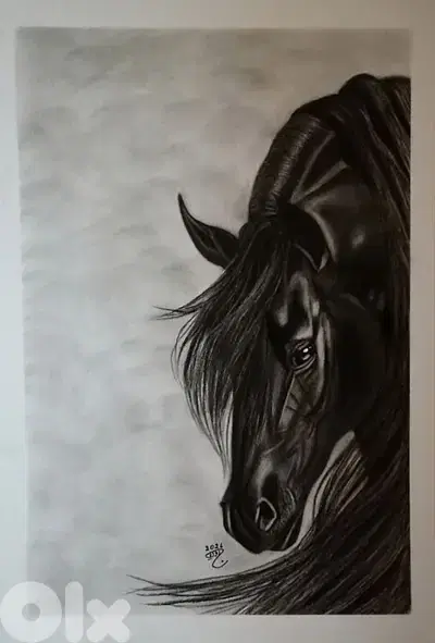 horse charcoal drawing. لوحة رسمة حصان فحم