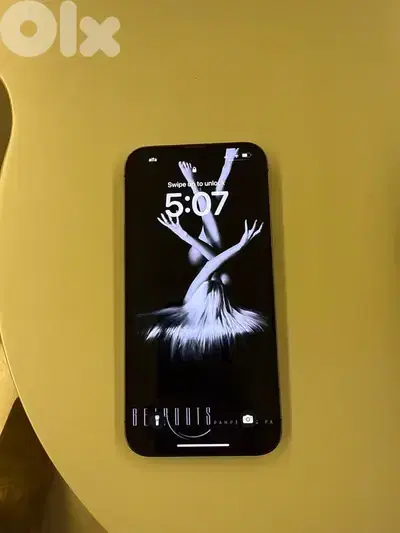 iPhone 13pro Max