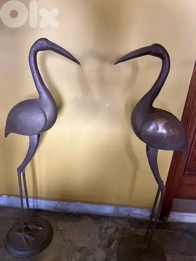 فلامينغو نحاس اطالي