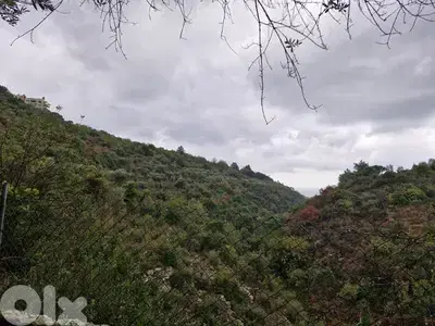 Land for sale in Lehfed directly on the highway