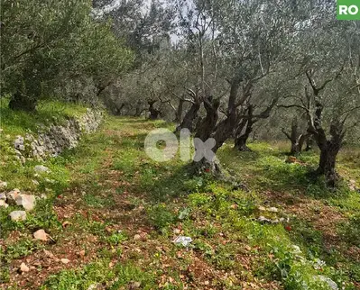 prime area, great deal, aley, bchamoun/بشامون  REF#RO131233