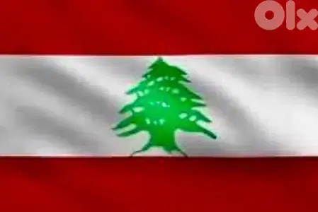 نقل و توصيل الاغراض و تاكسي على كافة الأراضي اللبنانية