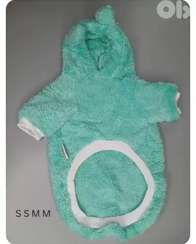 dogs clothing