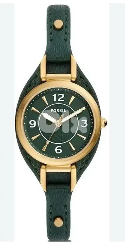 Fossil watch