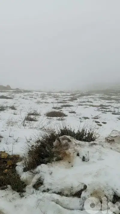 أرض للبيع في عين داره land for sale in Ayn dara aley