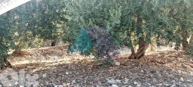 Prime 2235 m2 land 4 sale in Kfarsaroun - Koura - أرض للبيع في الكورة