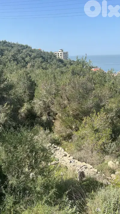 GMC432RAJ   Land for sale in Bsalim - أرض للبيع في بصاليم
