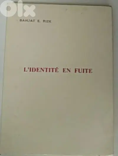 L'identité en fuite
