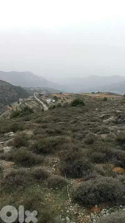 أرض للبيع في كفرنيس الشوف land for sale in shouf