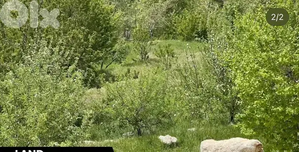 Land in Ain El Delbe Wata al Joz ارض للبيع في عين الدلبة وطى الجوز
