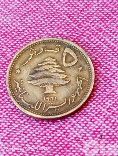 زلقا المتن