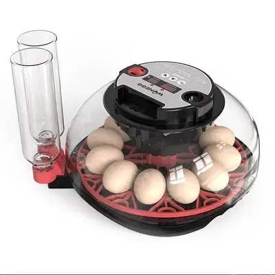 M12H Home Egg Incubator – 12 Chicken / Duck Eggs (Pet Use)