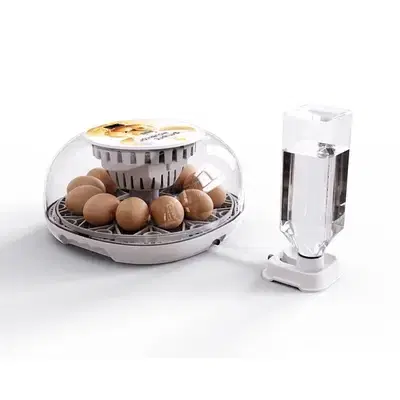 M12 Home Egg Incubator – 12 Chicken / Duck Eggs (Pet Use)