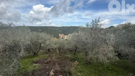 GMB188SA Land for sale Ijdabra - أرض للبيع في إجدبرا